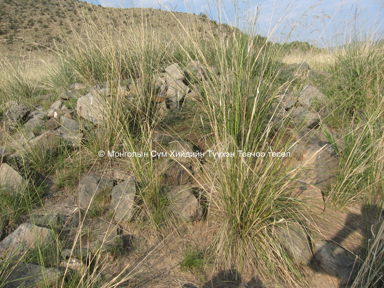 Баруун-Өмнөд талаас авсан